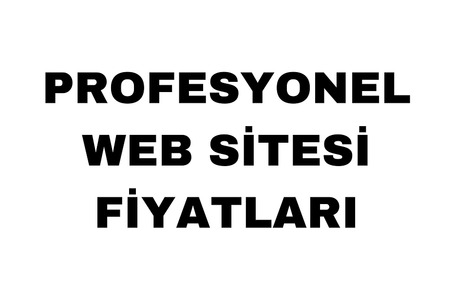 Profesyonel Web Sitesi Fiyatları