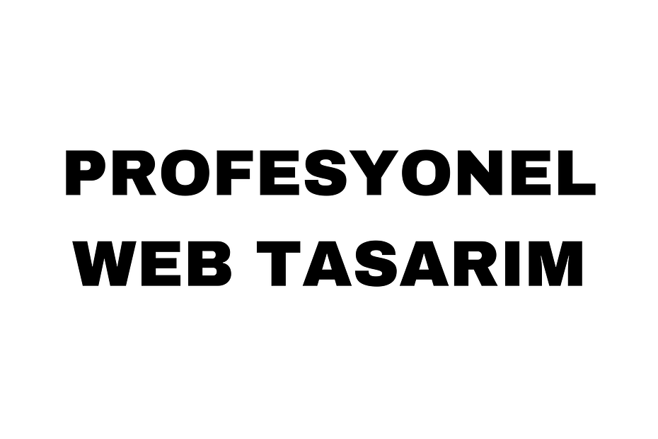 Profesyonel Web Tasarım